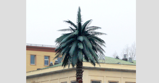 Warszawska palma - włókno szklane w Warszawie